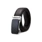 Chestnut Dark Brown Silver Buckle
