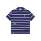 Purple Blue PPE