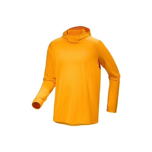 Arcteryx CORMAC HOODY Sweatshirt Men's