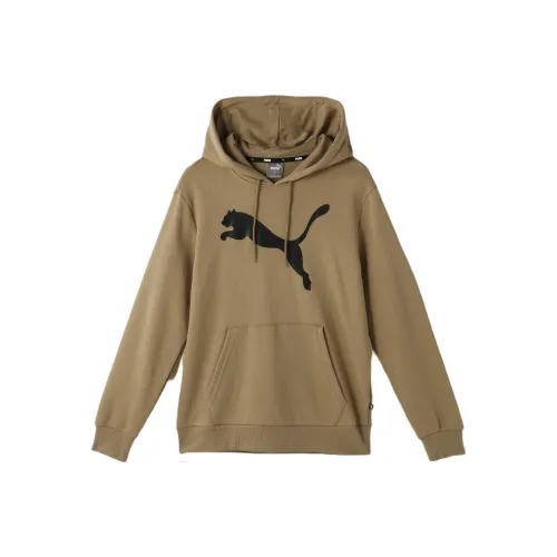 PUMA Sweatshirt Men's Oak Tree Brown