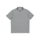 Silver Gray
