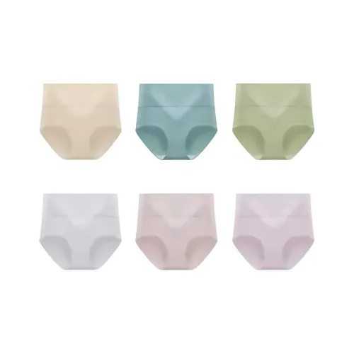 Taste The Color Underpants Women's 6 Pack