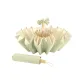 Matcha Milk
