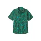 Conifer Green