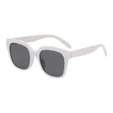 White Frame with All Gray Lens