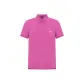 Pink Purple