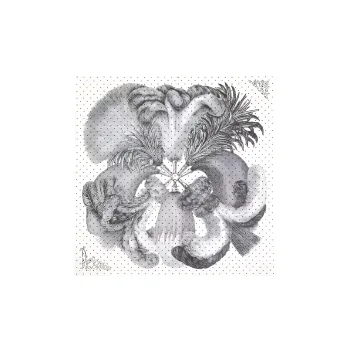 HERMES Scarf Plumets Et Panaches 90