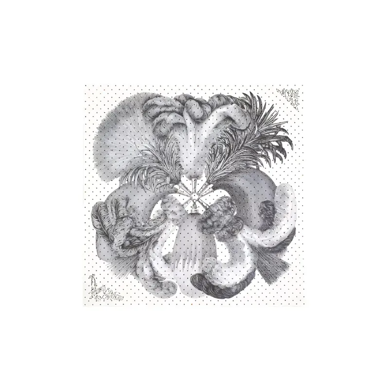 HERMES Scarf Plumets Et Panaches 90-0