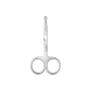 Men's Exclusive-Silver Round Tip Scissors 1 Pc
