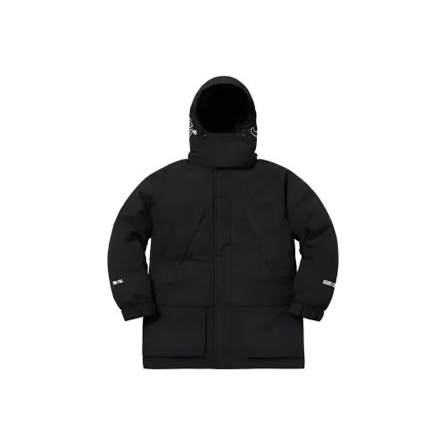 Supreme GORE TEX 700 Fill Down Parka