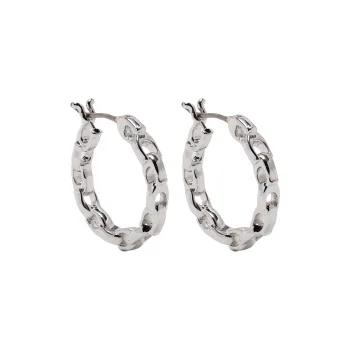 COACH Signature C Chain Earrings