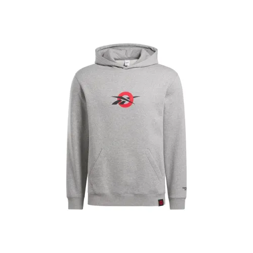 Reebok Sweatshirts Men Gray