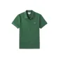 Crocodile Green-132