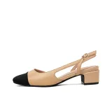 Apricot/Black