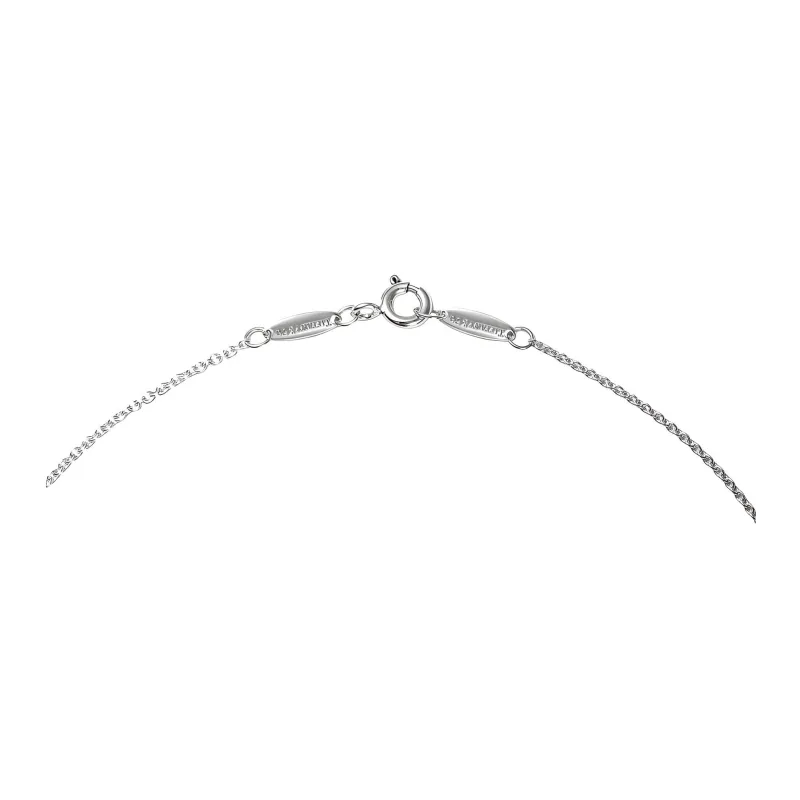 TIFFANY & CO. 2000s Elsa Peretti Necklace-3