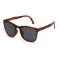 Black Tortoiseshell
