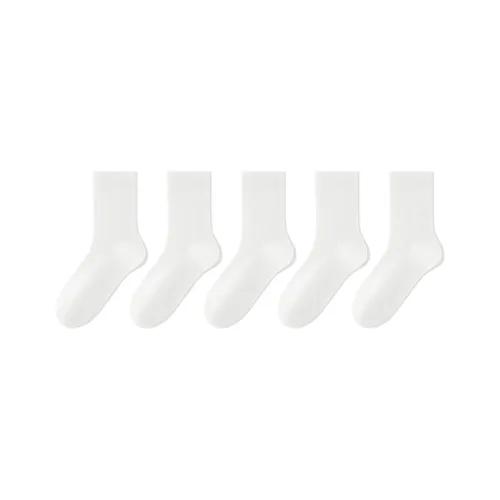 B&C.Room Mid Calf Socks Men's 5 Pack Gift Box Set
