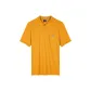 Yellow Ochre
