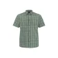 Green/8246