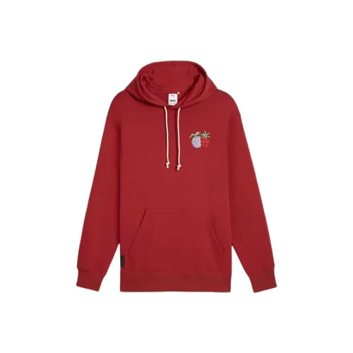PUMA One smash Hoodie Sweatshirt Men's Burgundy