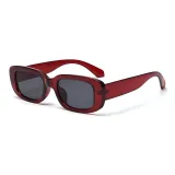 Burgundy Gray Lens
