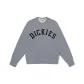 Medium Feather Gray