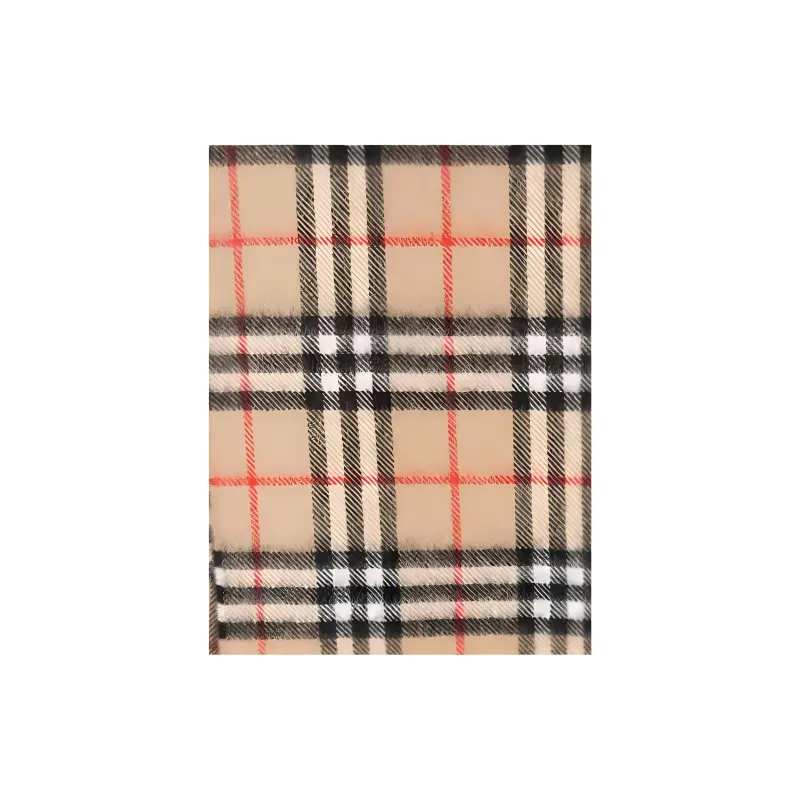 Burberry Checked Fringed Scarf-2