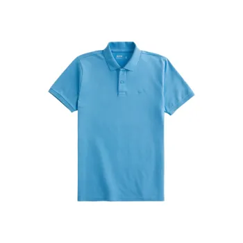 Hollister Polo Shirt Men's Blue