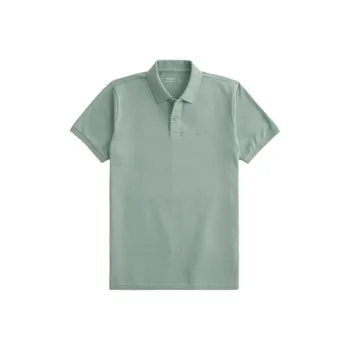 Hollister Polo Shirt Men's Gray Green