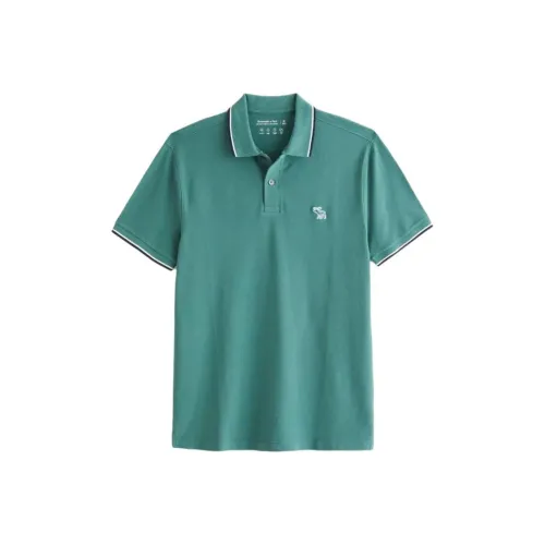 Abercrombie＆Fitch Polo Shirt Men's Dark Green
