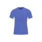 Tree Blue/WLIN