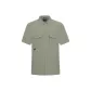 Umber Gray Green