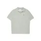 E06 Gray Green