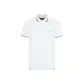 White YBR