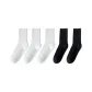 [5 Pairs/Korean Version of The Japanese JK Wild]3 Pairs of Thin Strips of Plain White 2 Pairs of Thin Strips of Black