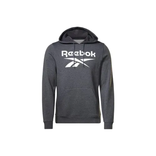 Reebok Sweatshirts Men Gray