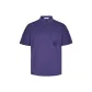 Blue Purple
