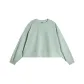 Light Gray Green