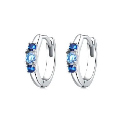 KwOnline S925 Silver Earrings Unisex