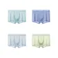 Gray Blue+Sea Blue+Ice Gray+Grass Green
