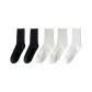 [5 Pack/Korean/Japanese Style JK Versatile]Pinstripe Black+Pinstripe Black+Pinstripe Milk White+Pinstripe Milk White+Pinstripe Raw White