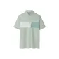 Green Gray Trim 19