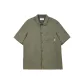 Dark Lichen Green E03