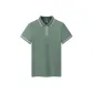 Gray Green
