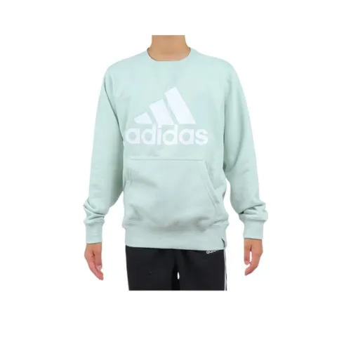 Adidas Sweatshirt Men's Light Green