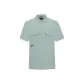 Light Gray Green