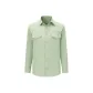 Pea Green Gray