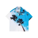 Blue Sky Coconut Tree Multicolor