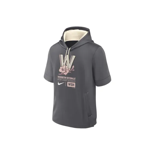 Nike MLB Collaboration Washington Nationals City Connect Sweatshirt Washington Nationals Men's Gray