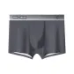 Platinum Gray